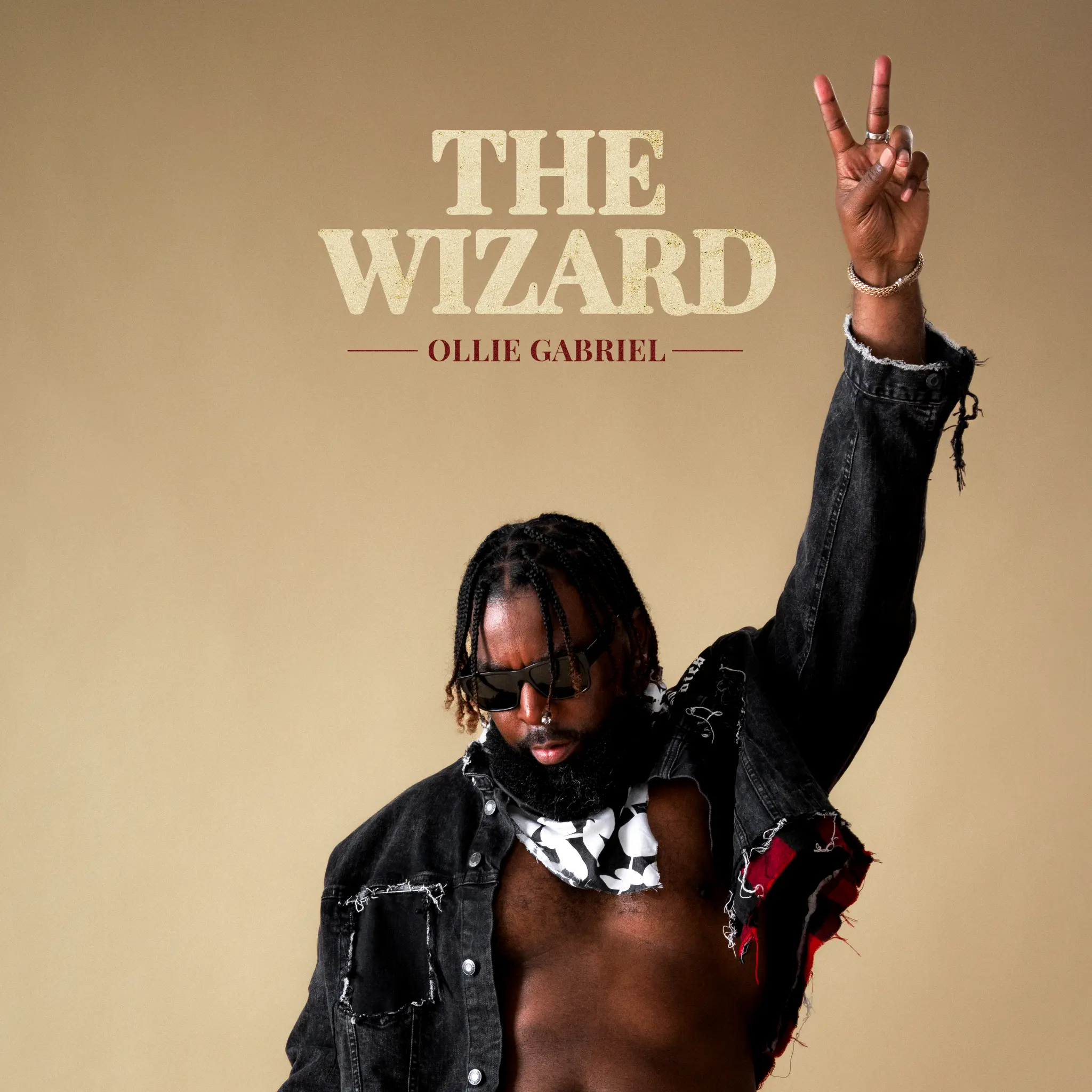 The Wizard - Ollie Gabriel Album Cover